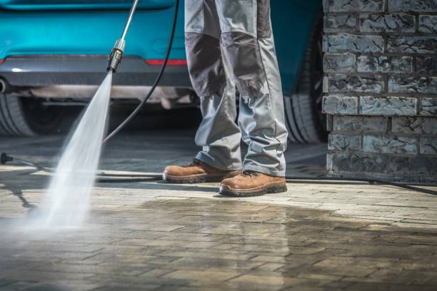 Best Graffiti Removal Services in Cortland West, NY