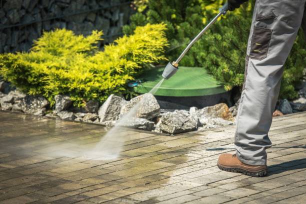 Best Concrete Surface Cleaning in Cortland West, NY