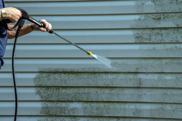 Best Residential Pressure Washing in Cortland West, NY